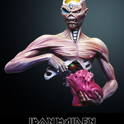 Seventh Son of a Seventh Son Bust